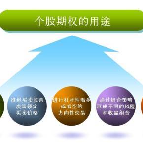 個股期權(quán)ABC投資管理 掌握核心策略與風(fēng)險(xiǎn)控制